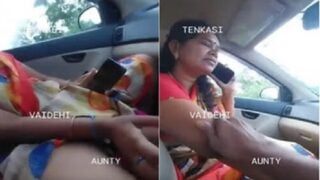 Tamilnadu aunty cheera lepi car lo sex